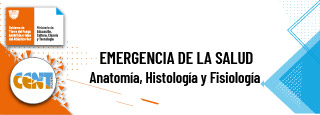 Anatomía y Fisiología (T.S. Emergencias de Salud) comisión A