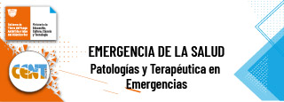 Patologías y Terapéutica en Emergencias - Comisión A