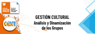 Análisis y Dinamización de los Grupos