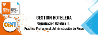 Organización Hotelera IV. Práctica Profesional. Recepción y Conserjería