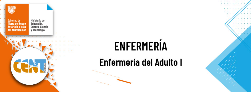 Enfermería del Adulto - Comisión A