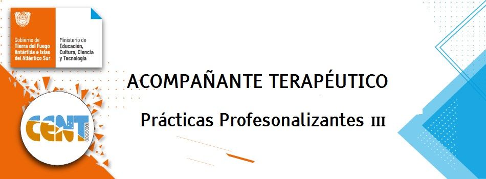 Prácticas Profesionalizantes III
