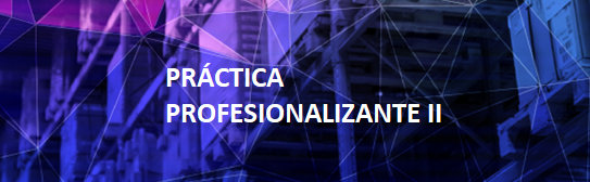 TL18.PRÁCTICA PROFESIONALIZANTE II