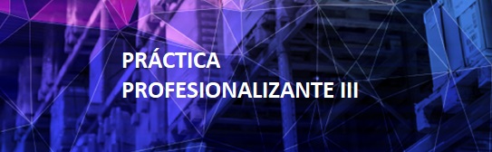 TL28.PRÁCTICA PROFESIONALIZANTE III