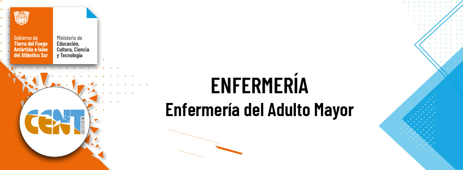 Enfermería del Adulto Mayor - Comisión B