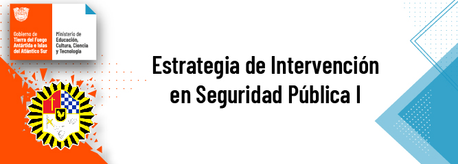 Estrategia De Intervención En Seguridad Pública I