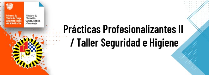 Prácticas Profesionalizantes II: Taller Seguridad e Higiene