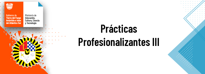 Prácticas Profesionalizantes III