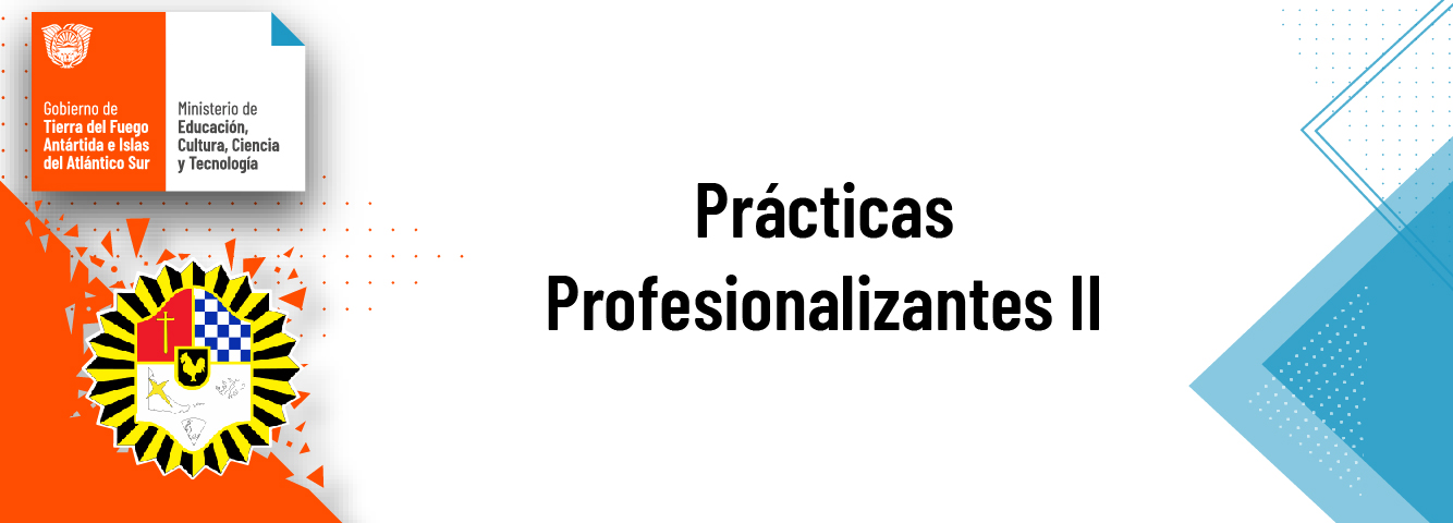 Prácticas Profesionalizantes II