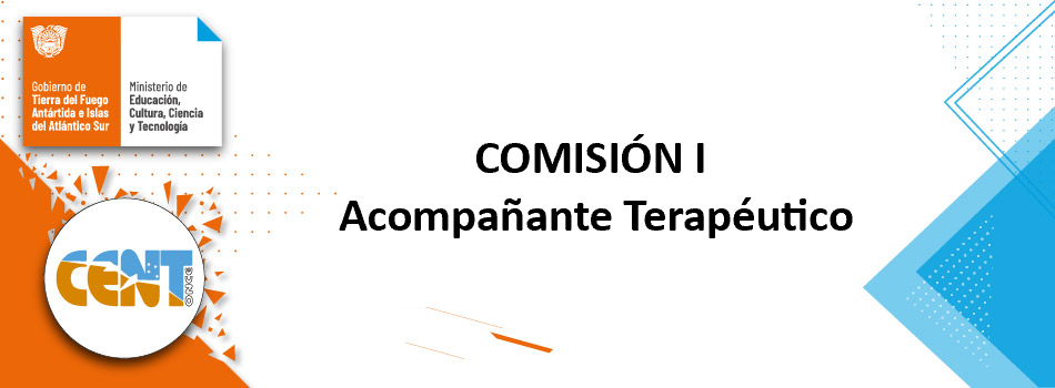 COMISIÓN I - Acompañante Terapéutico