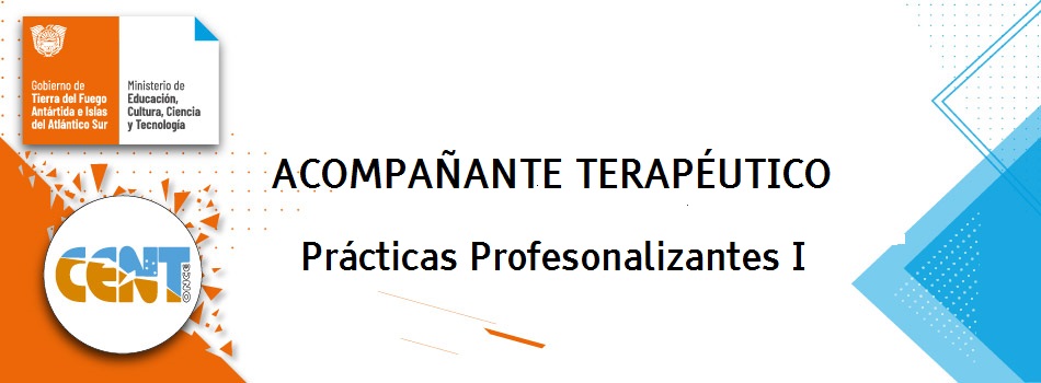 Prácticas Profesionalizantes I