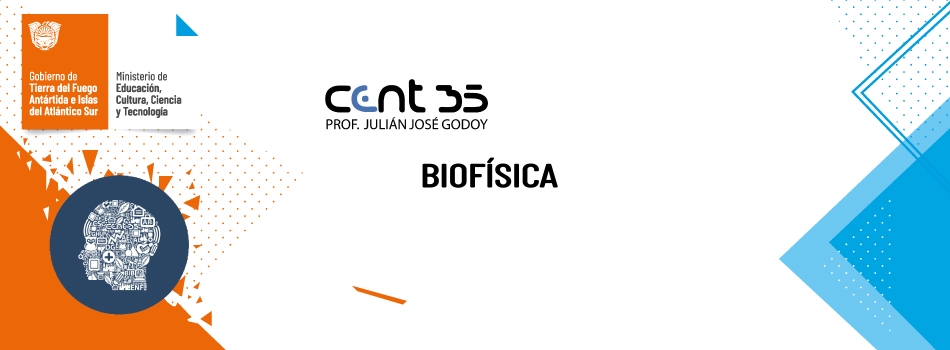 EN16.M.C1. BIOFÍSICA