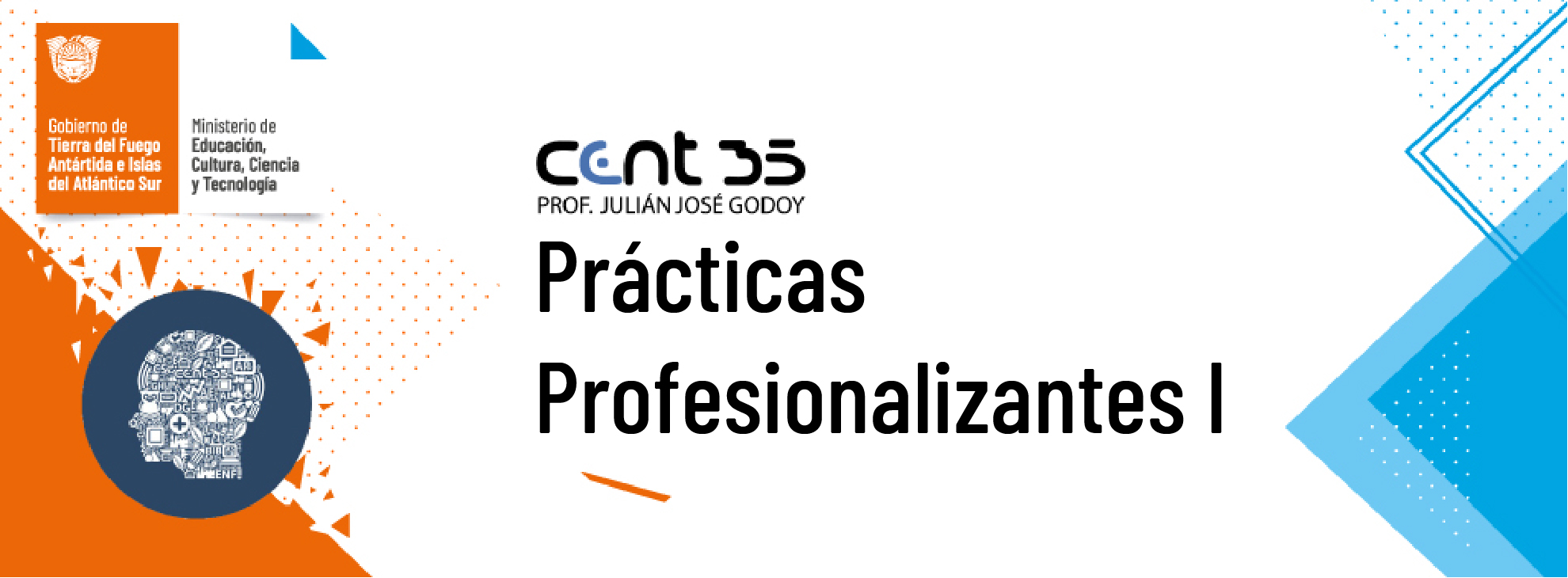 PT1A.V.C1. PRÁCTICAS PROFESIONALIZANTES I