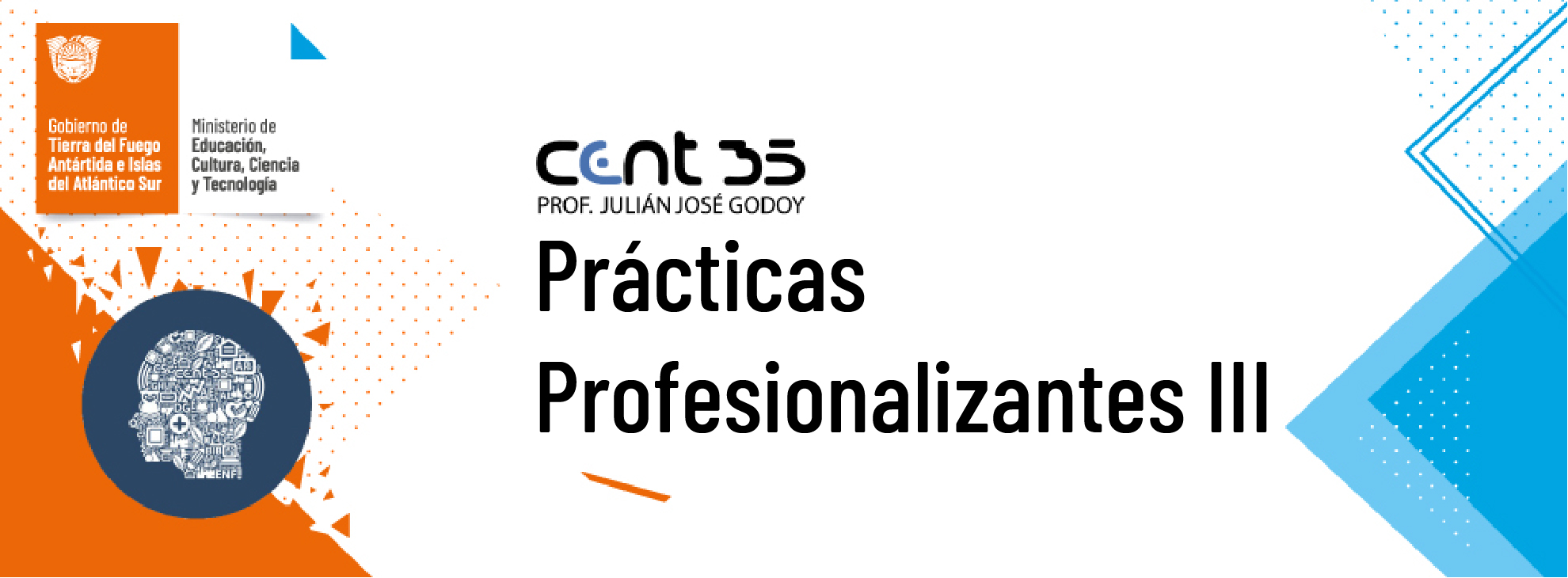 PT39.T. PRÁCTICAS PROFESIONALIZANTES III