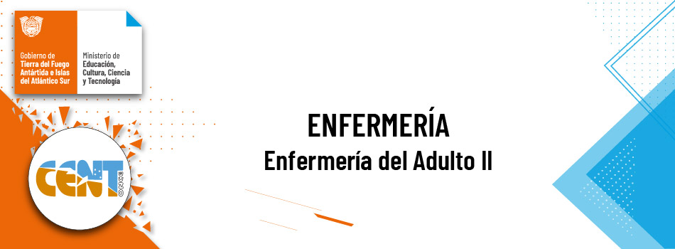 Enfermería del Adulto II