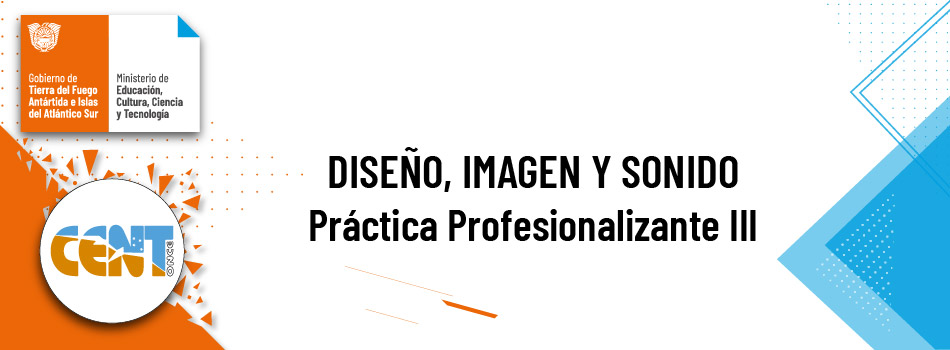 Práctica Profesionalizante III