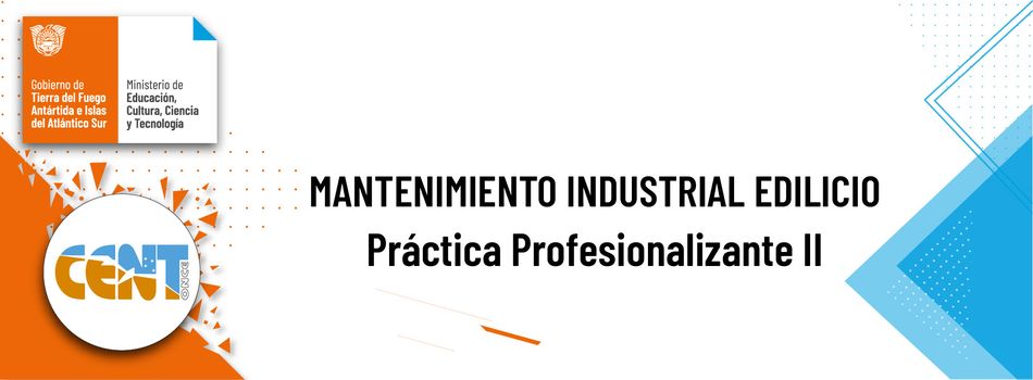 Práctica Profesionalizante II