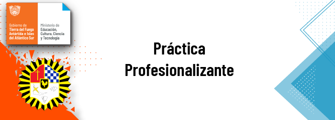 Práctica Profesionalizante