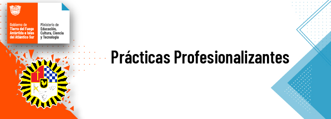 Prácticas Profesionalizantes